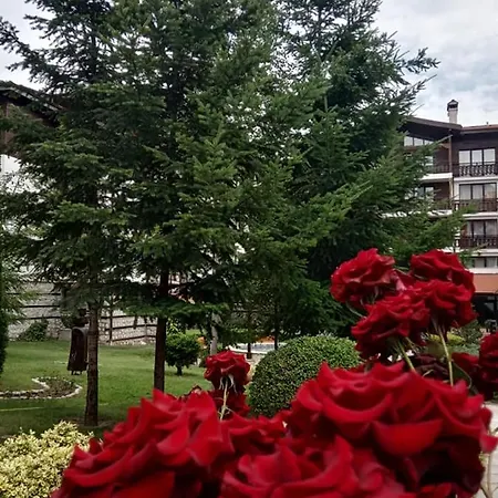 Winslow Infinity 3* Bansko