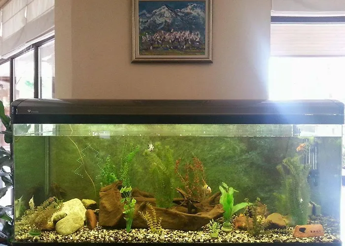 Apartmanhotel Winslow Infinity 3*