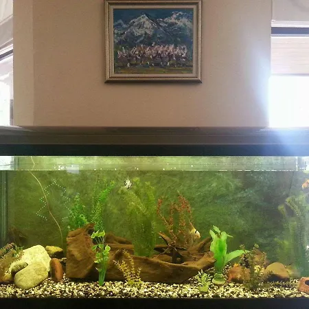 Lejlighedshotel Winslow Infinity 3*