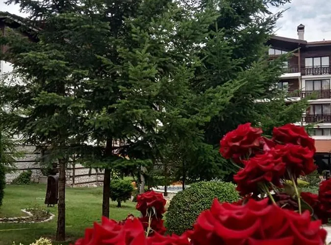 Winslow Infinity 3* Bansko